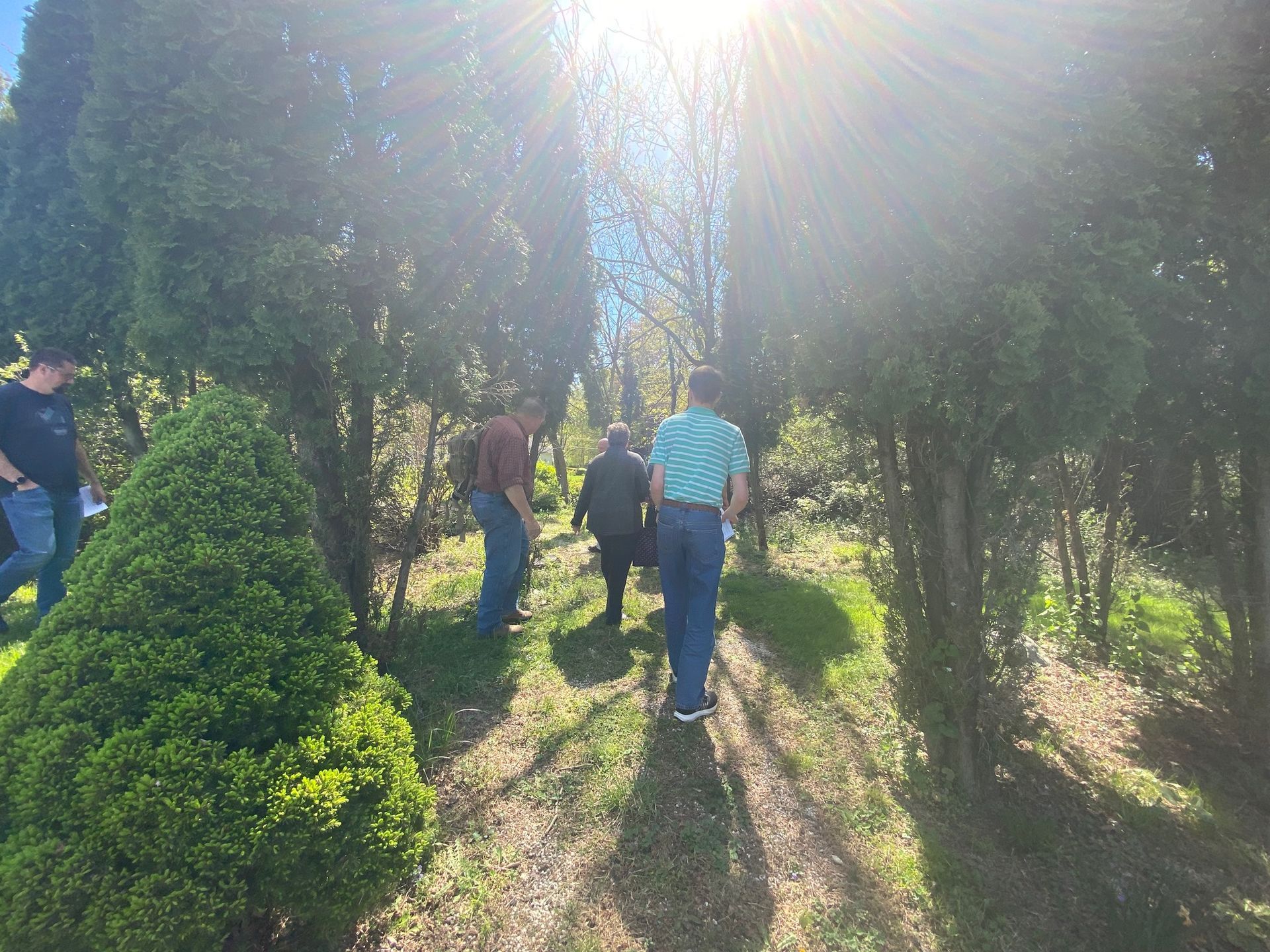 A group of people are walking through a forest.