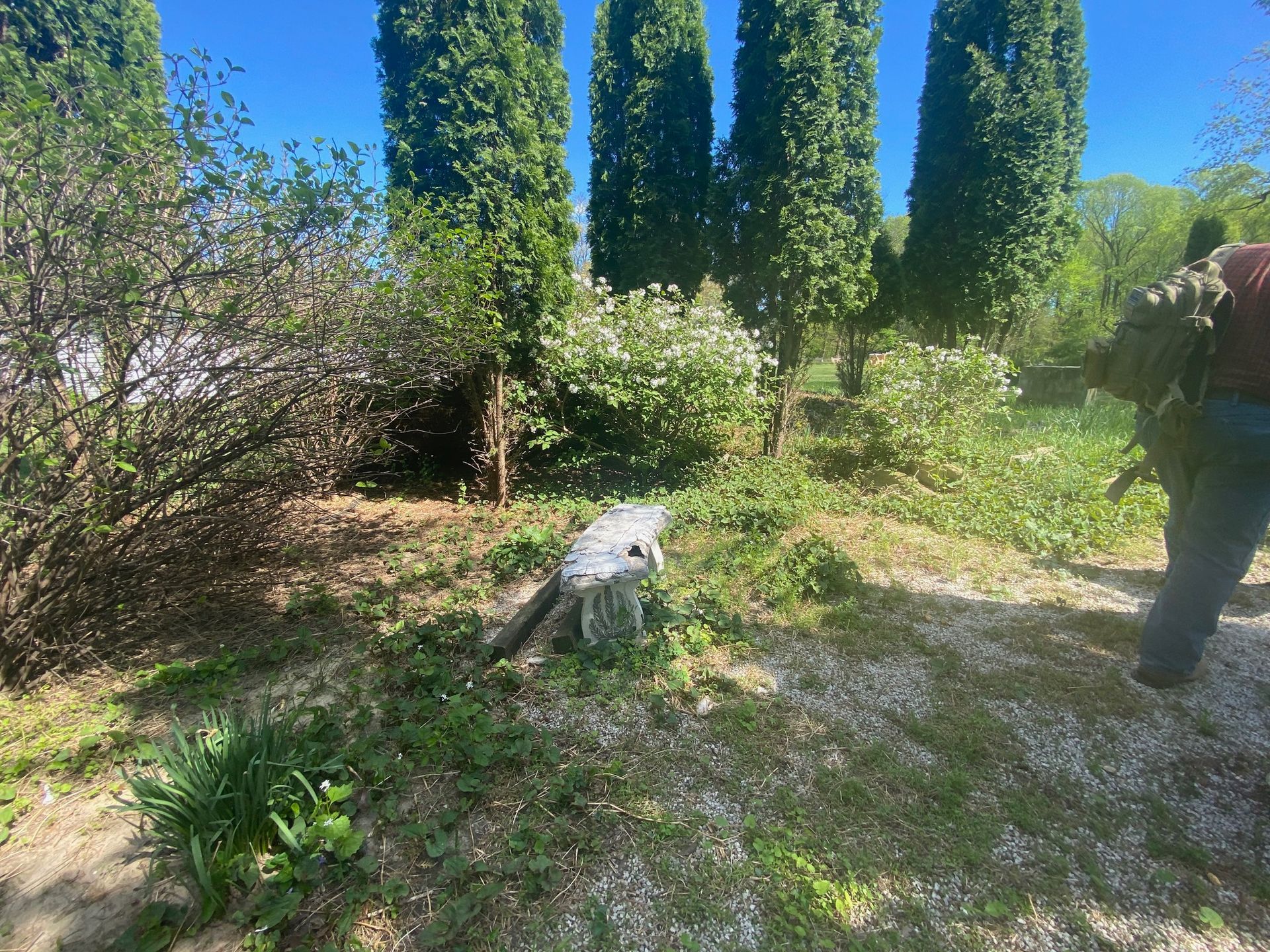 A man is standing in a field with trees in the background.