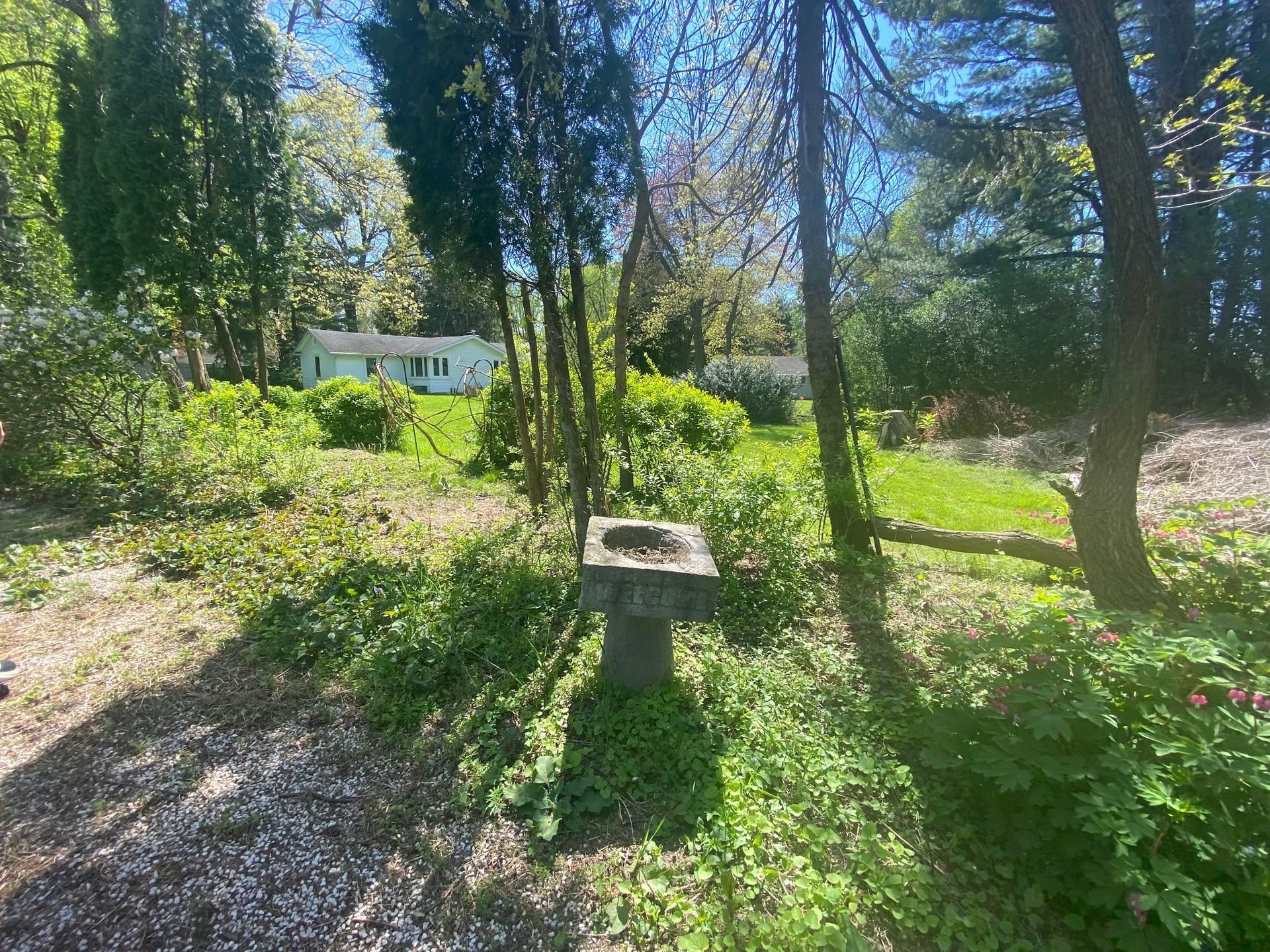 A dirt road going through a lush green forest with a house in the background.