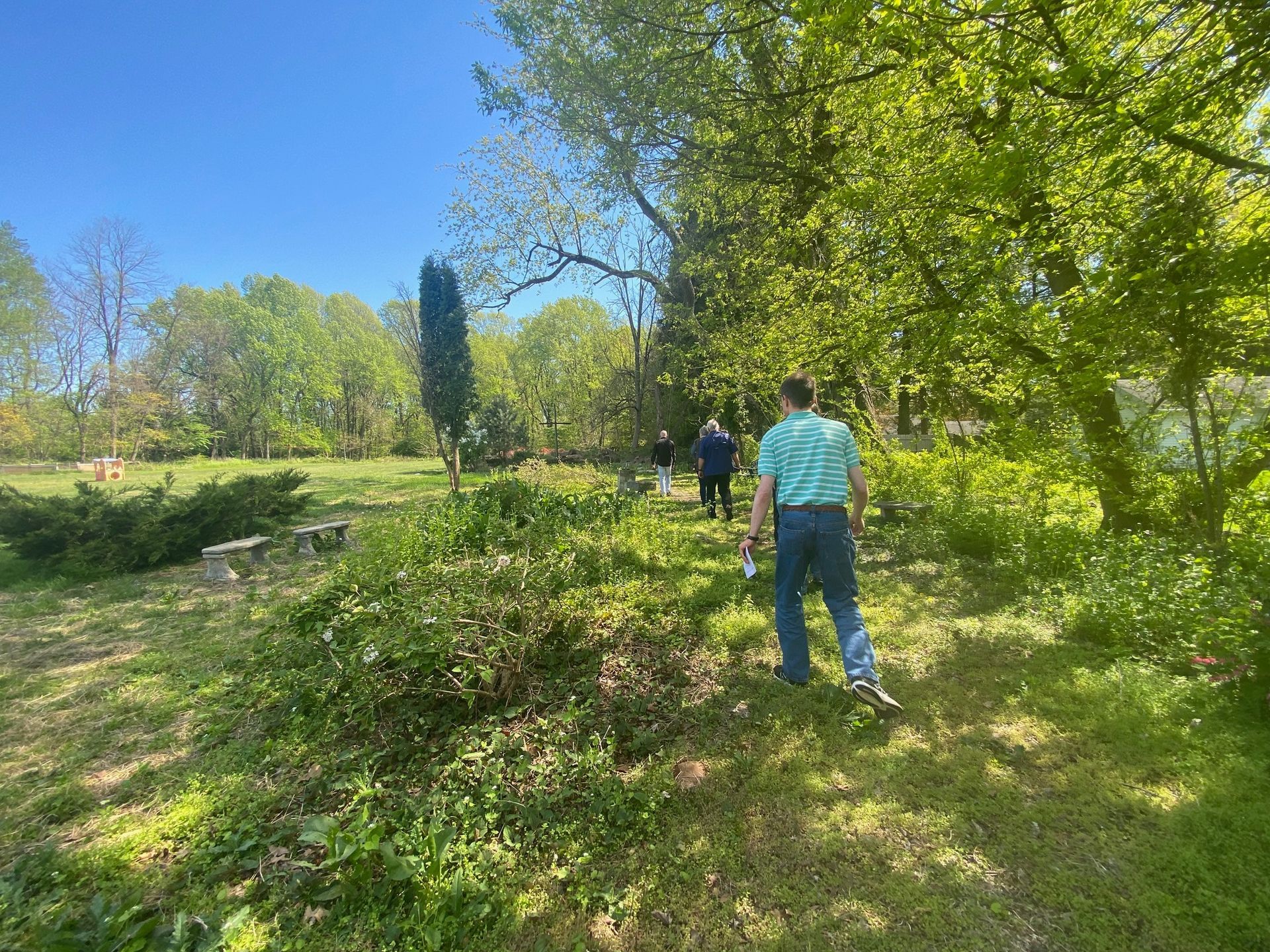 A man is standing in the middle of a field surrounded by trees.