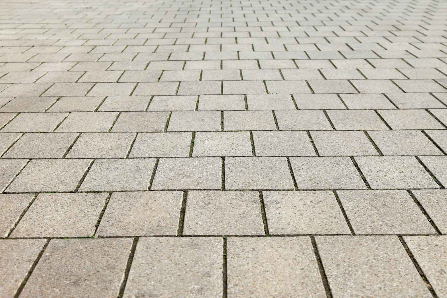 paves unis