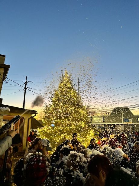Crowd beneath a glowing Christmas tree with falling 