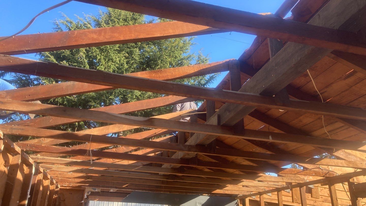 The roof of a building is being built with wooden beams.