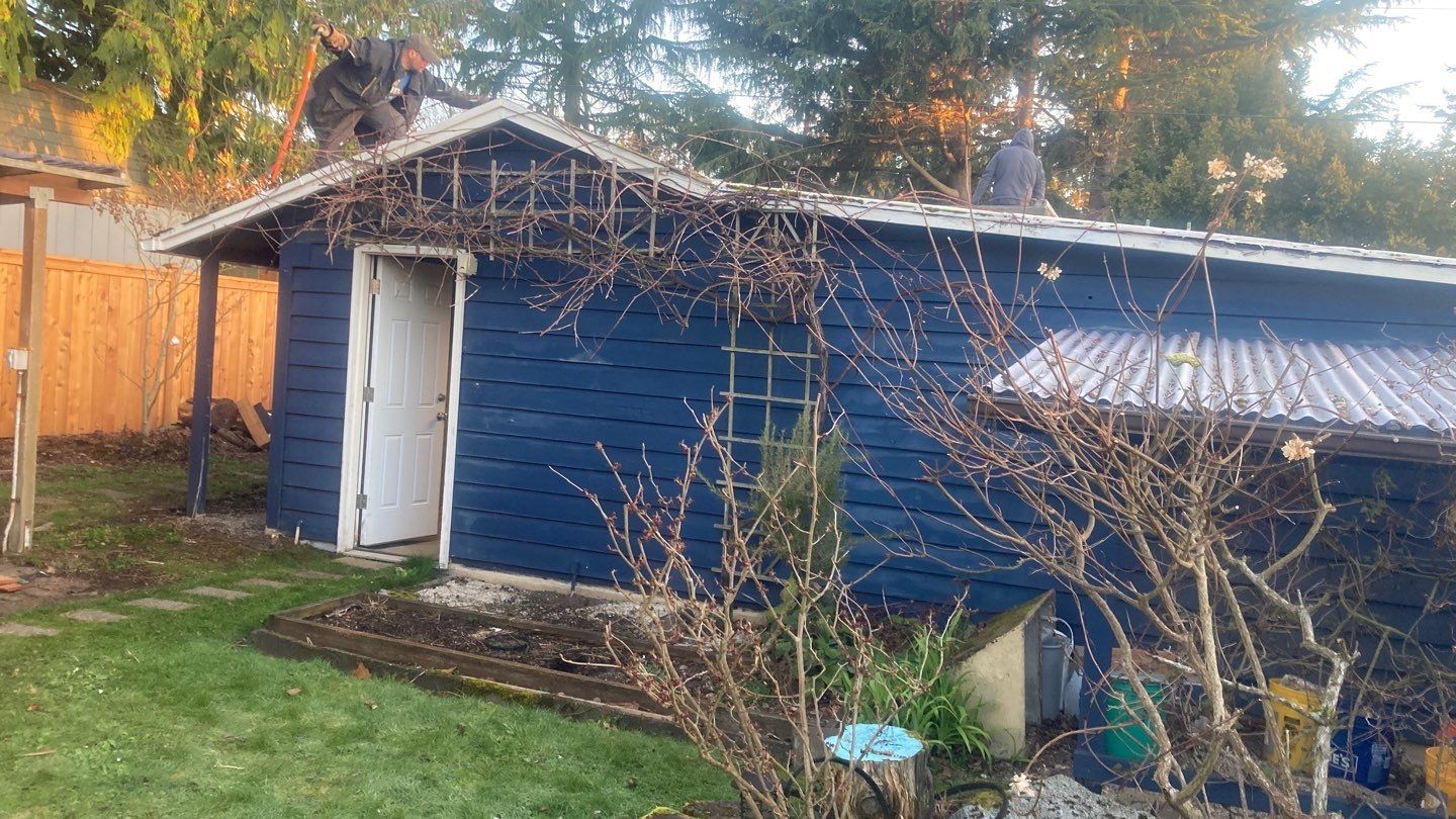 A man is standing on the roof of a blue shed.
