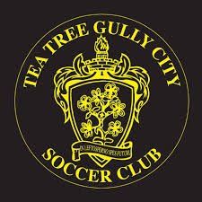 Tea Tree Gully City Soccer Club