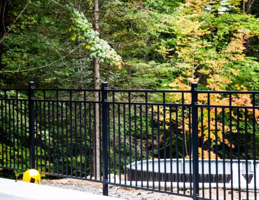 Une clôture en métal noir entoure une piscine avec des arbres en arrière-plan.