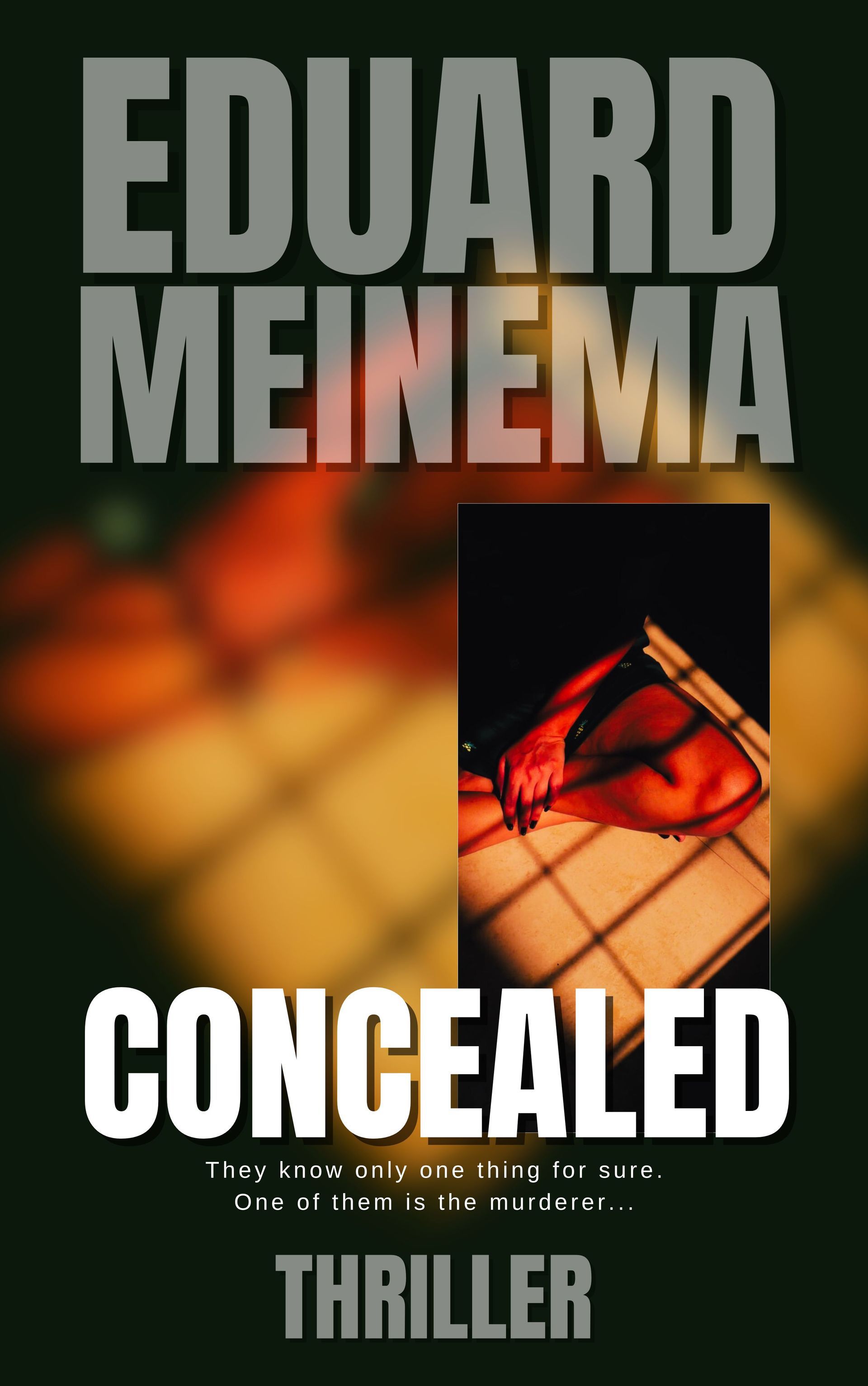 Concealed, standalone thriller by Eduard Meinema Concealed, standalone thriller by Eduard Meinema
