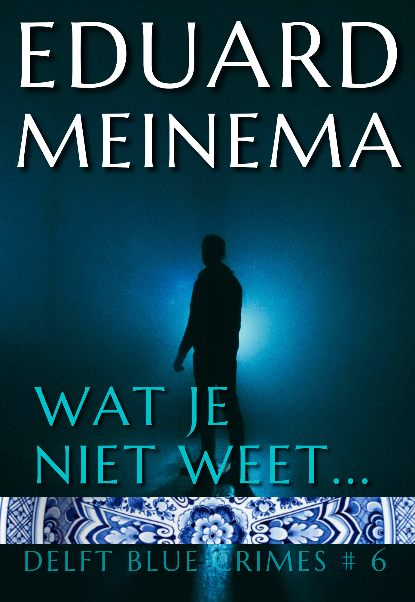 Delft Blue Crimes #6 Wat je niet weet by Eduard Meinema.