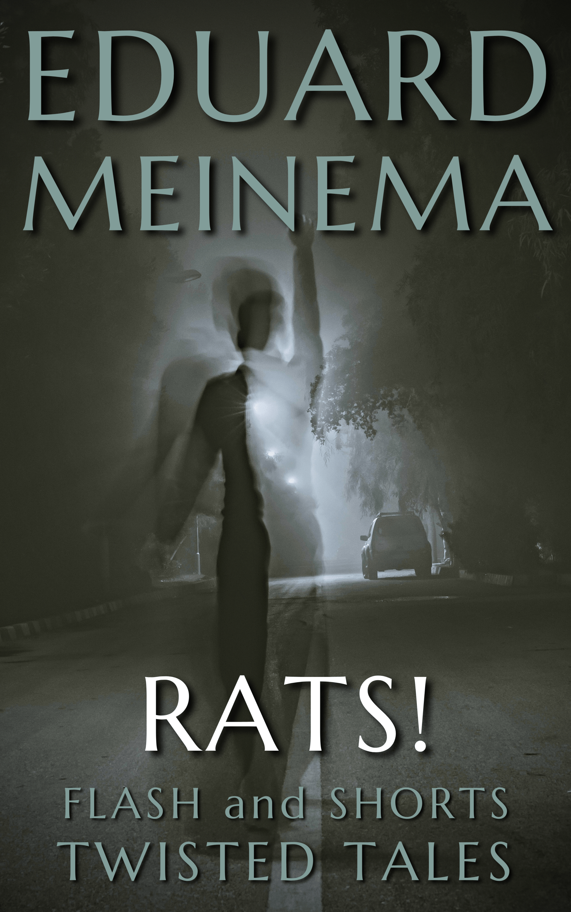 Rats!,  a flash fiction Christmas story by Eduard Meinema.