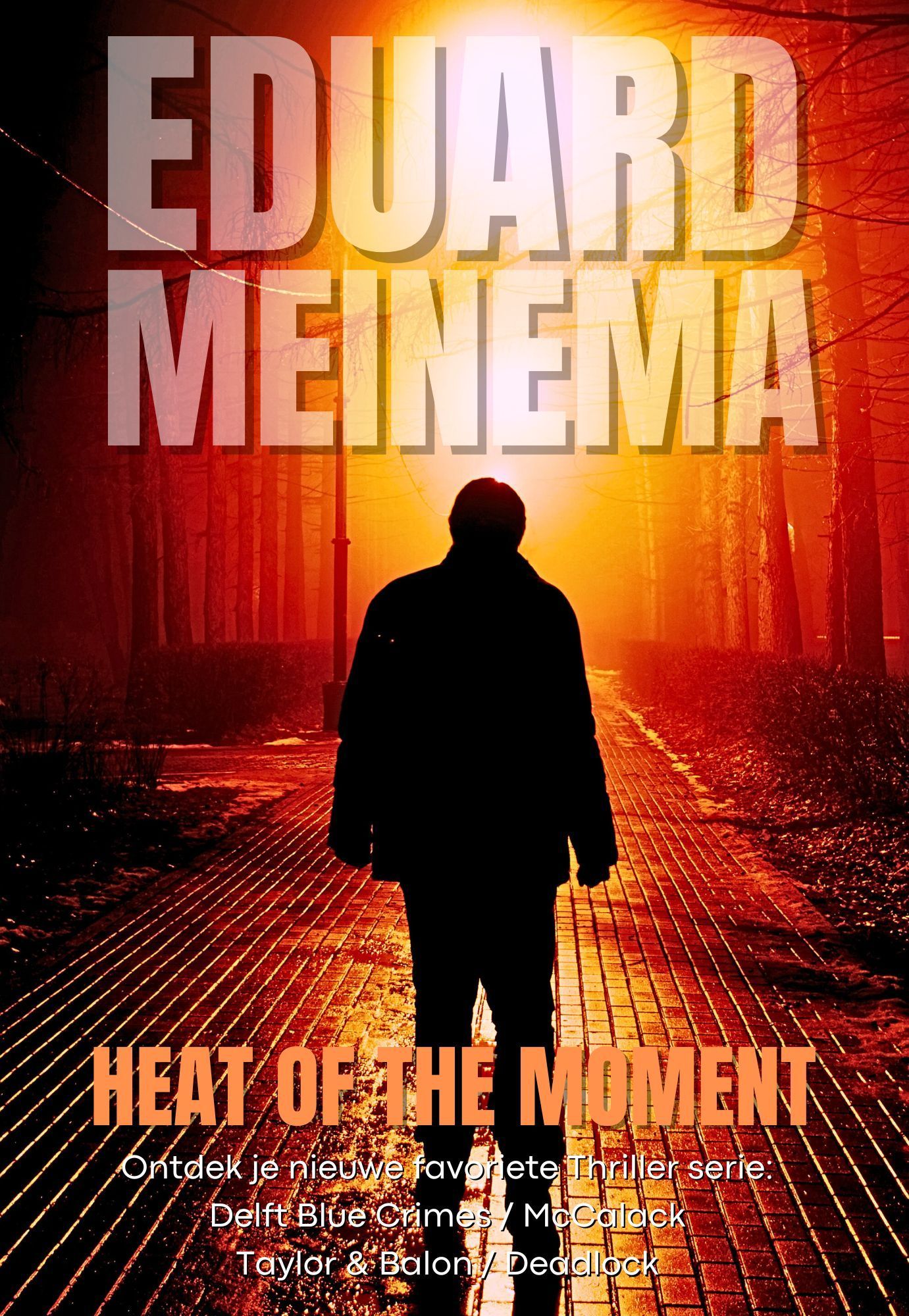 Concealed, standalone thriller by Eduard Meinema
