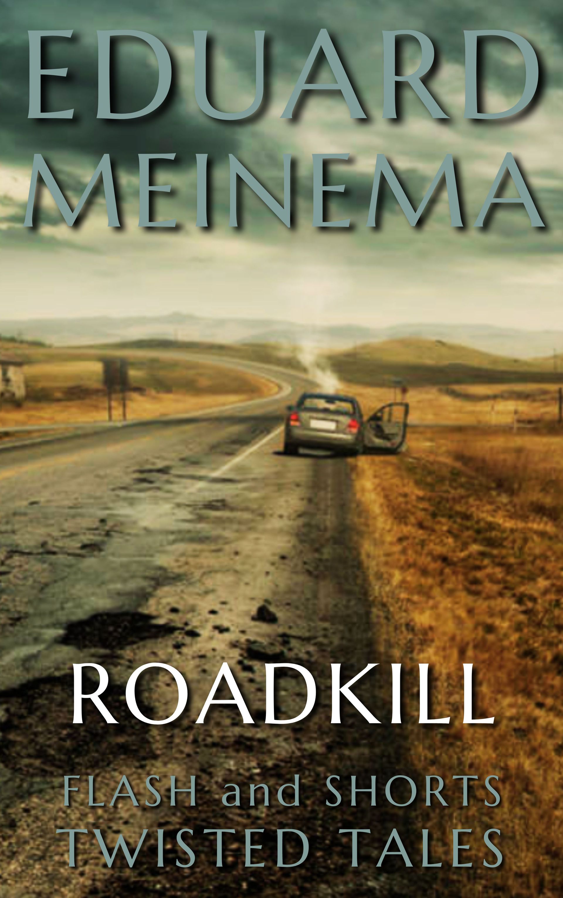 Roadkill,  a short story by Eduard Meinema.