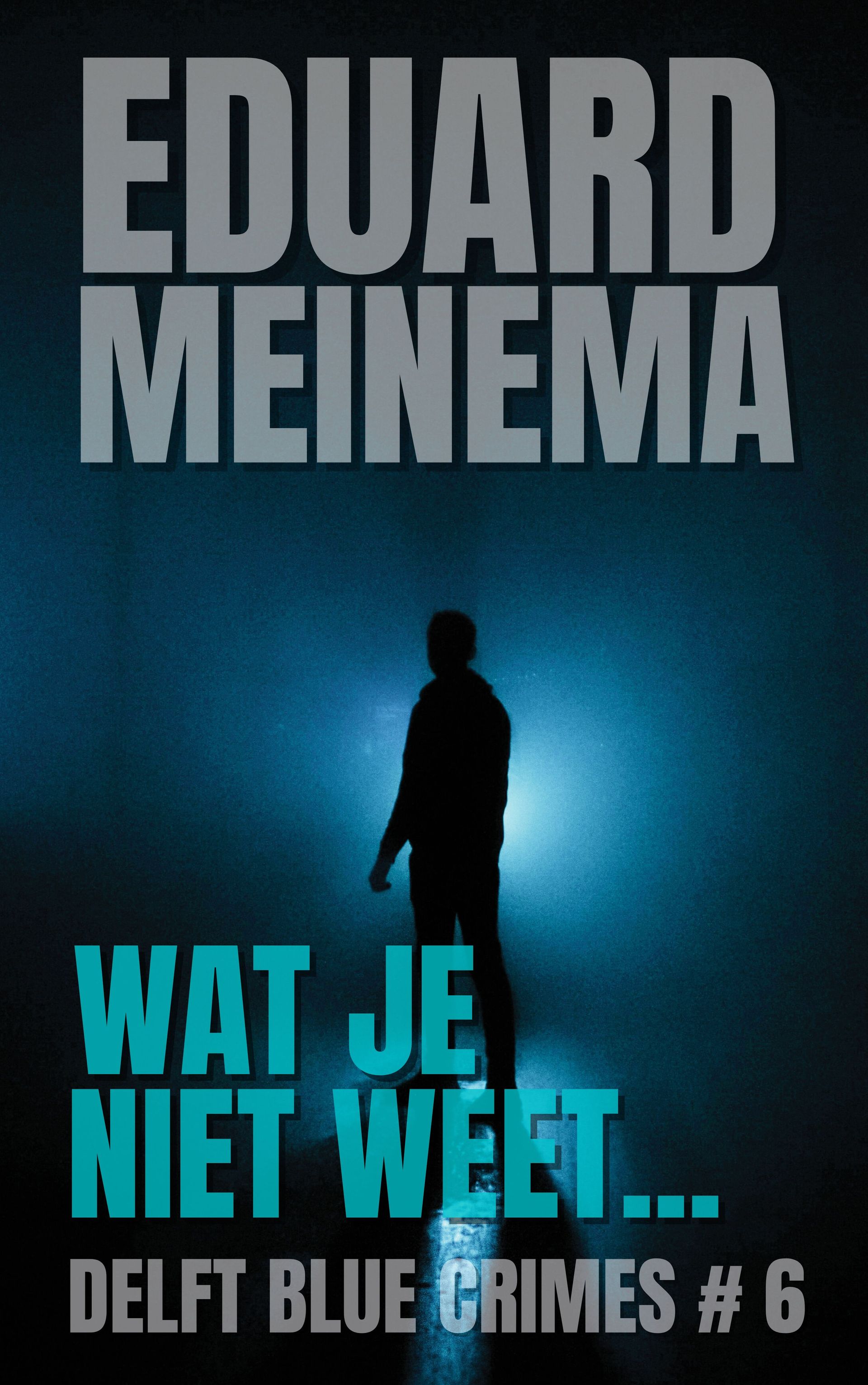 Delft Blue Crimes #5 GEPLAND 15 december 2024 Delft Blue Crimes #6 GEPLAND 15 december 2024