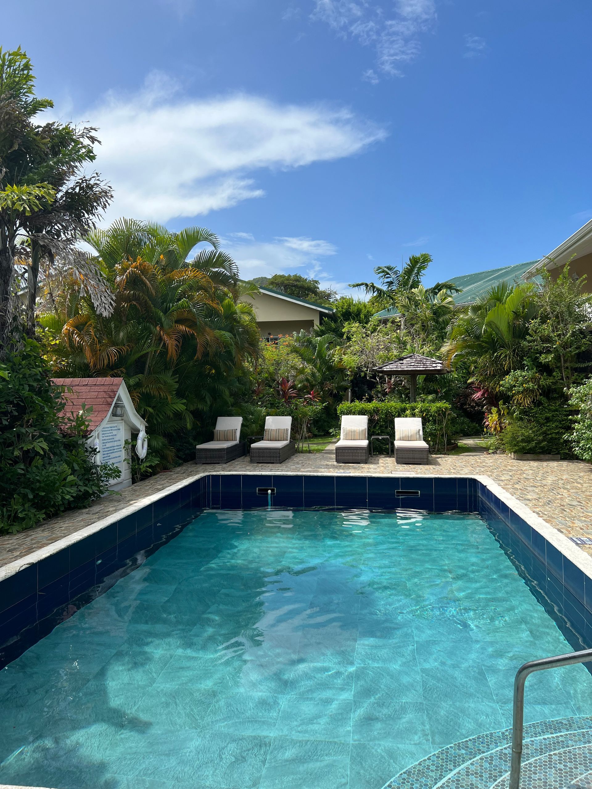 There is a large swimming pool in the backyard of a house.