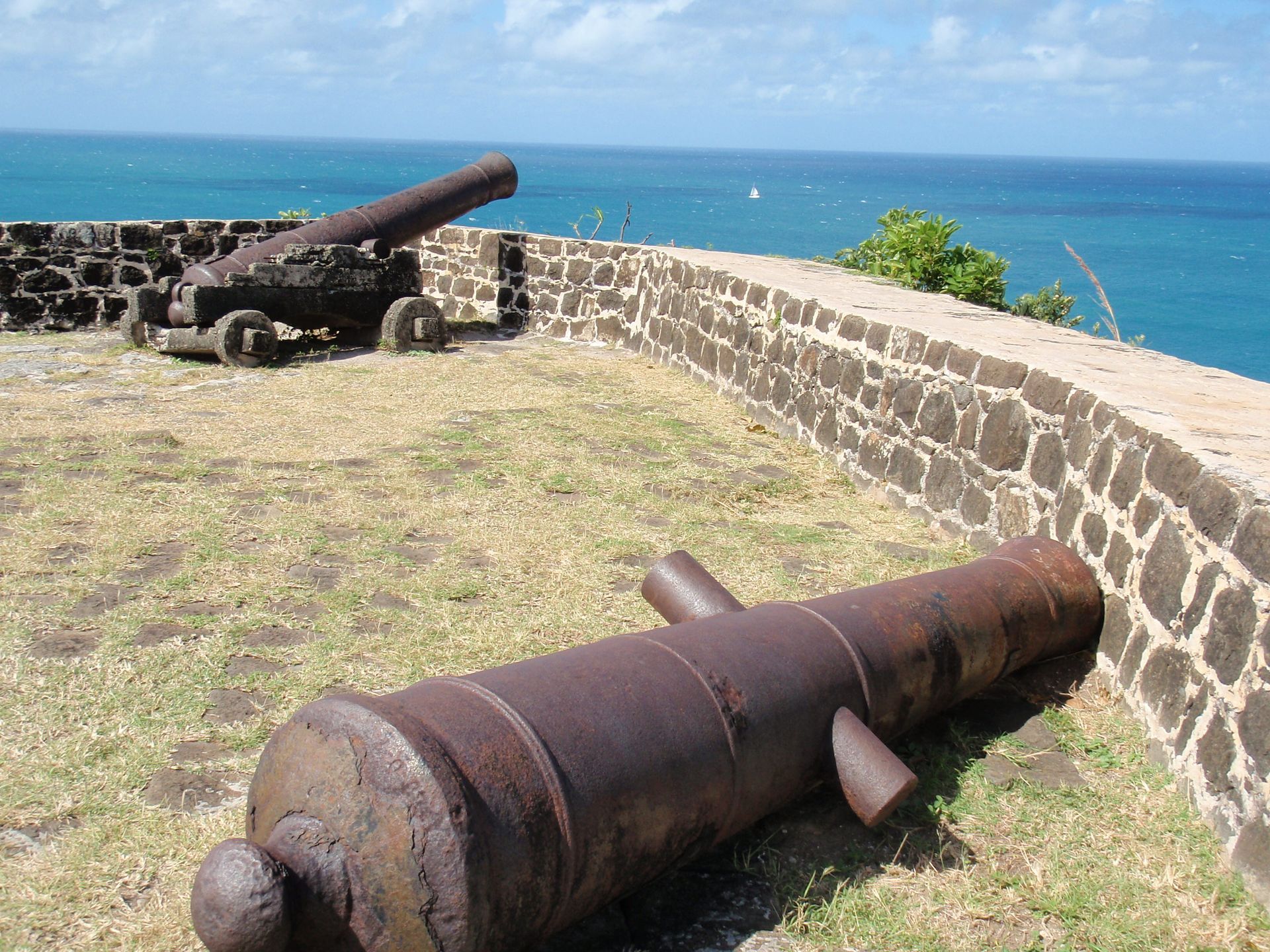 Two old cannons are sitting in the grass near a stone wall overlooking the ocean