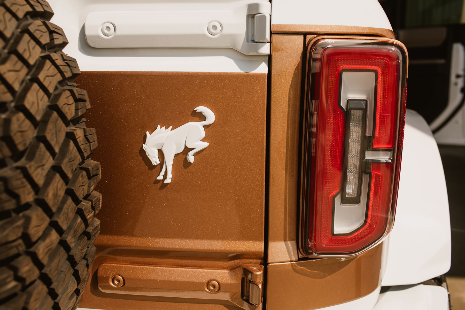 Backfisch Auto Body Repair