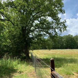land clearing services salem mo