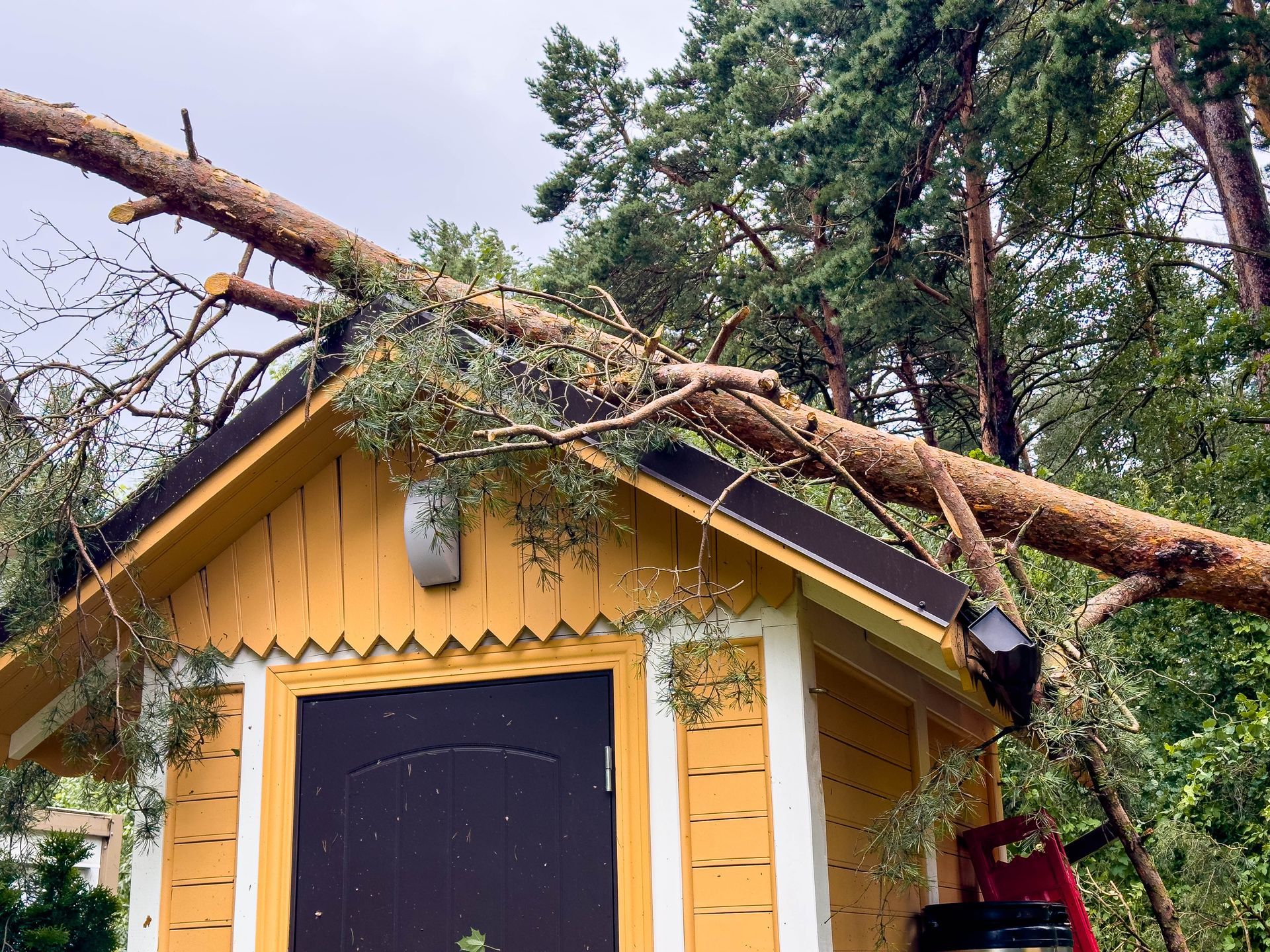 A tree branch lies across the yellow roof of a small building.