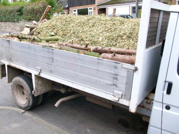 Tree waste collection