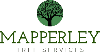 Mapperley Tree Services logo
