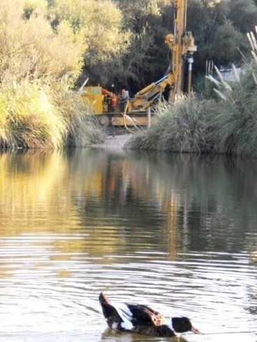 stagno da pozzo artesiano
