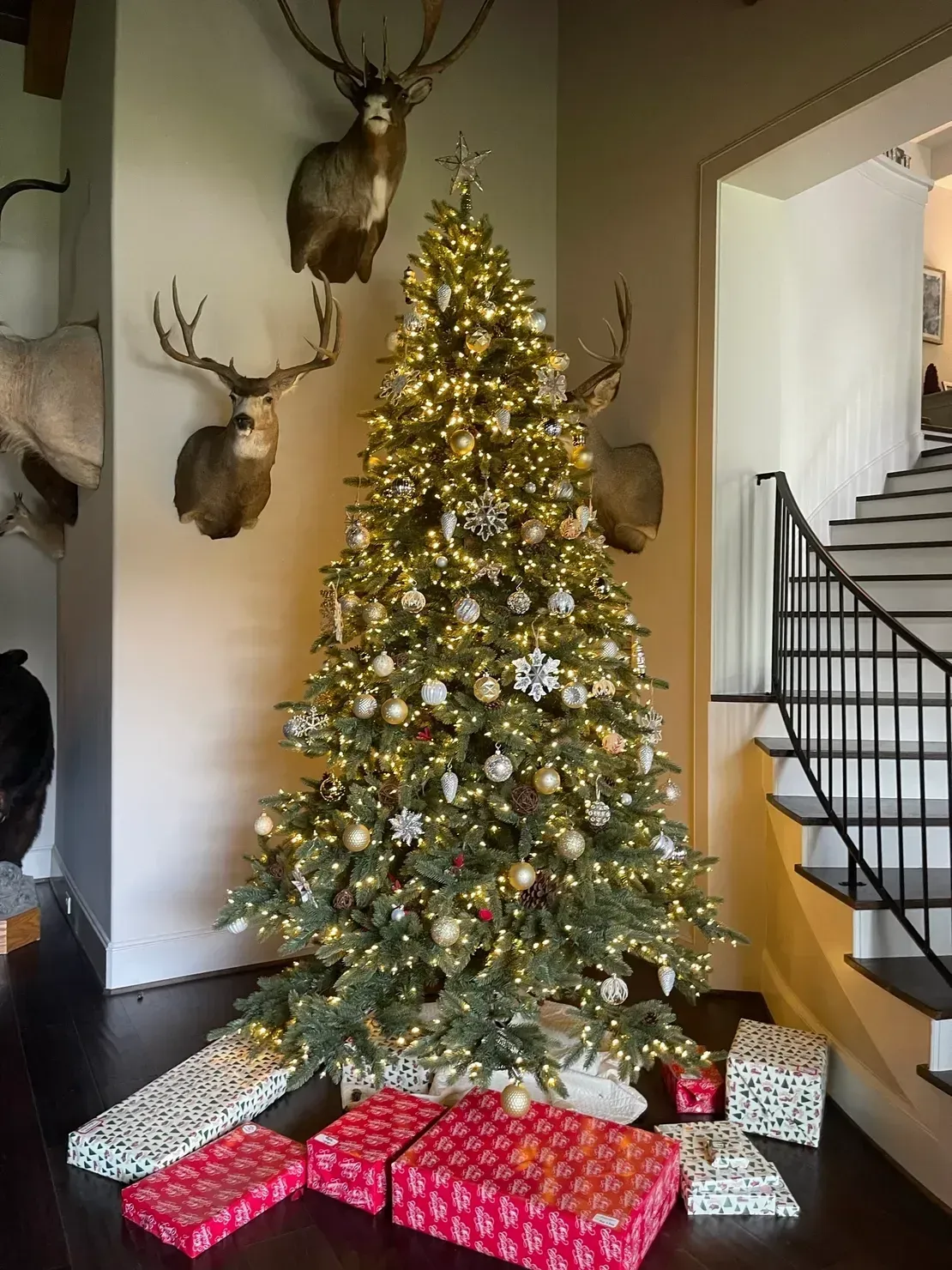 A decorated Christmas tree with lights and ornaments sits in a corner beneath mounted deer heads, surrounded by gifts.