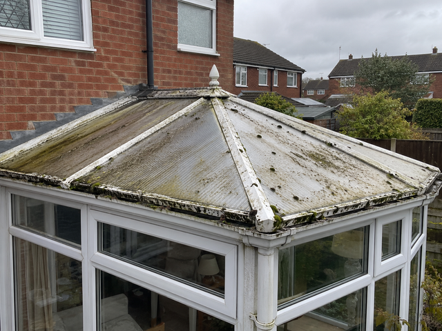 Old polycarbonate conservatory roof stained with moss and algae