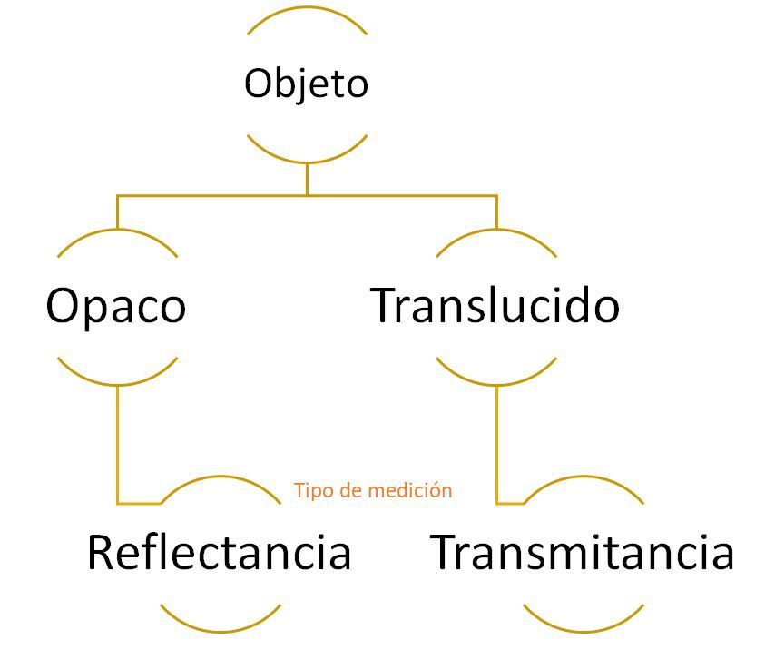 Transformador de plásticos