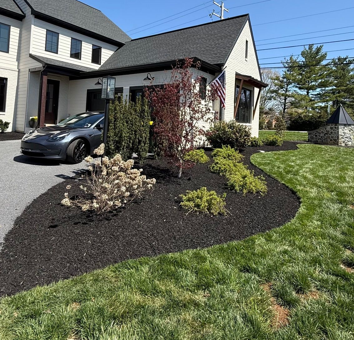 Modern house exterior with dark mulch landscaping and gray car in driveway.