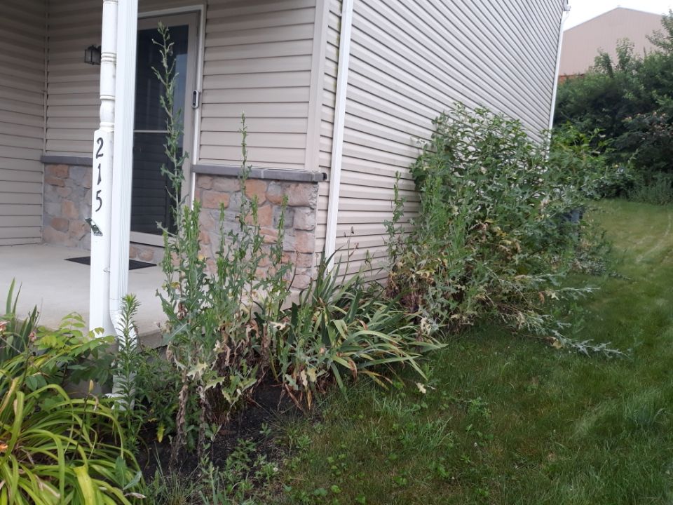 heemers lawn care services