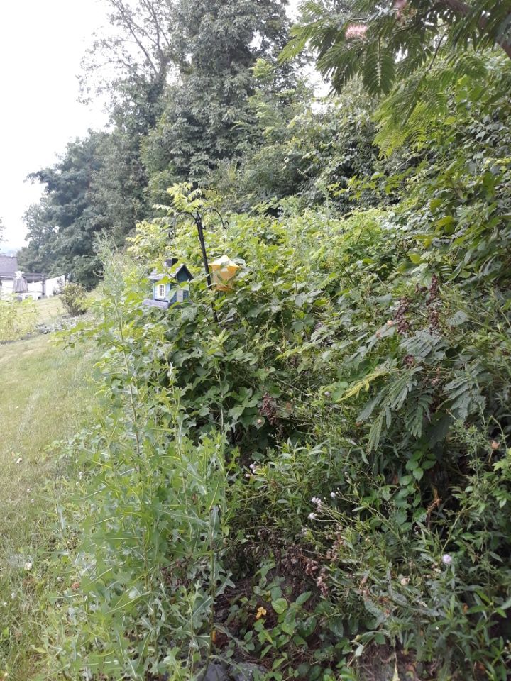 heemers lawn care services