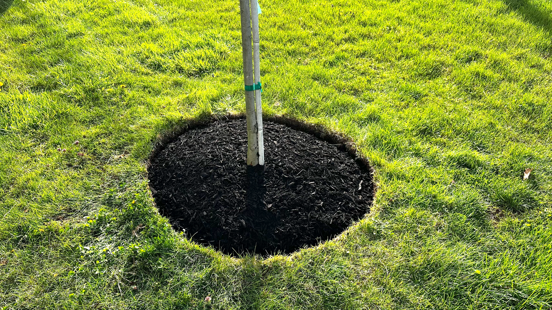 heemers lawn care services