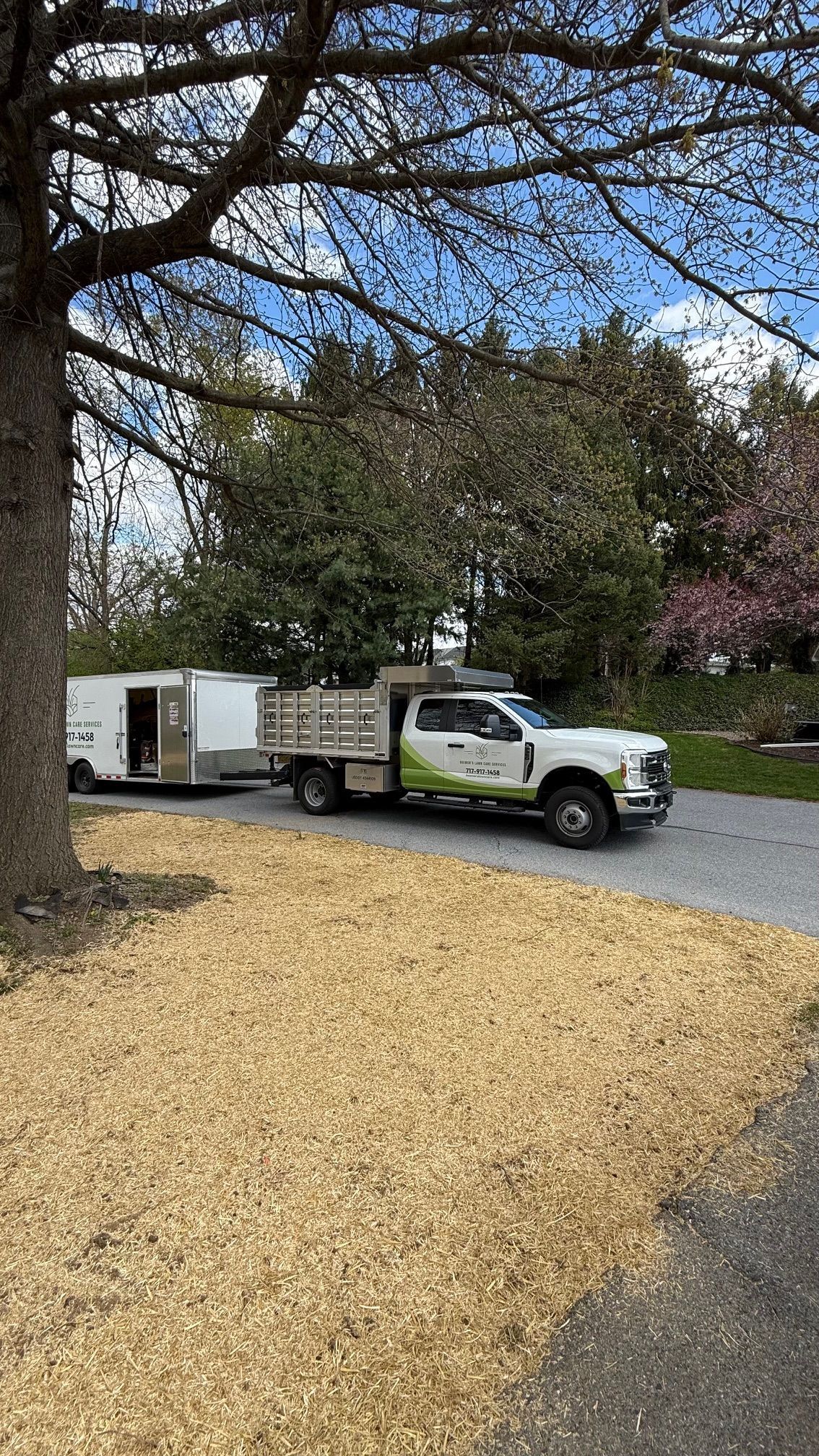Truck with trailer parked on wood chips, tree in the foreground.