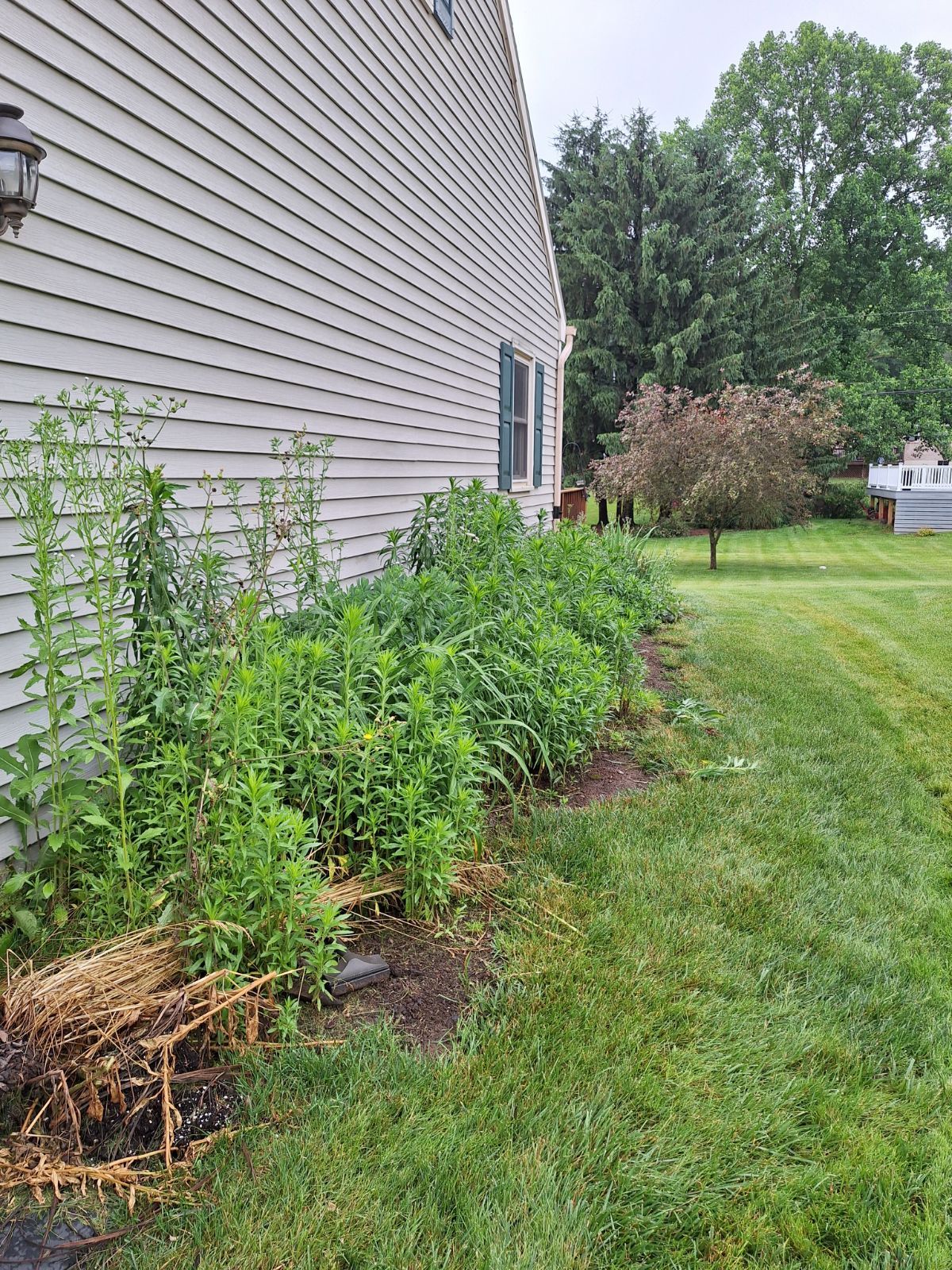 heemers lawn care services