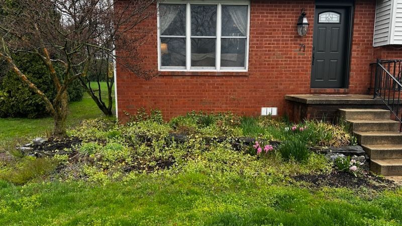 before mulch