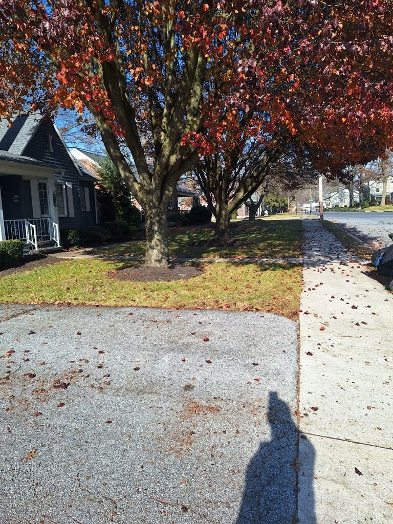 leaf removal after