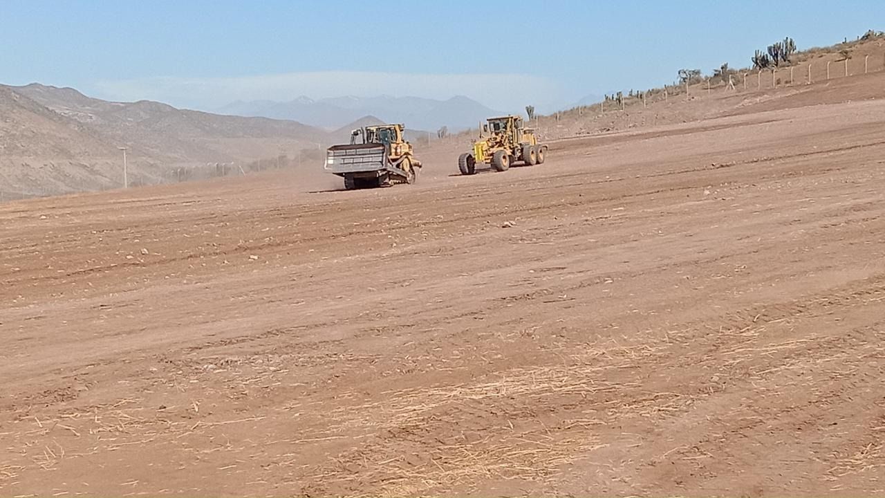 Dos excavadoras avanzan por un camino de tierra en el desierto.