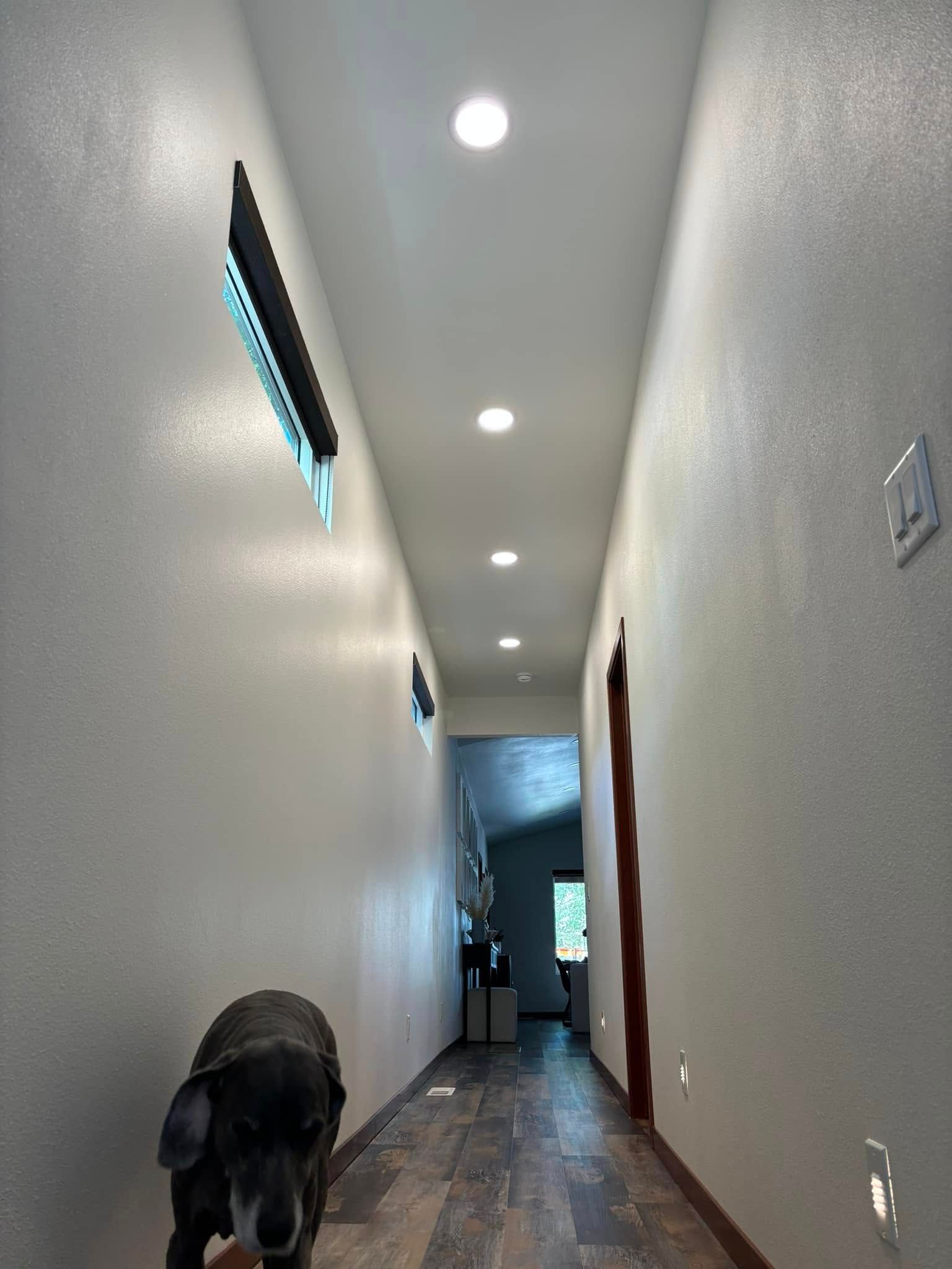 A dog is standing in a long hallway next to a window.