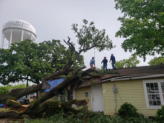 Two men are standing on the roof of a house next to a fallen tree.