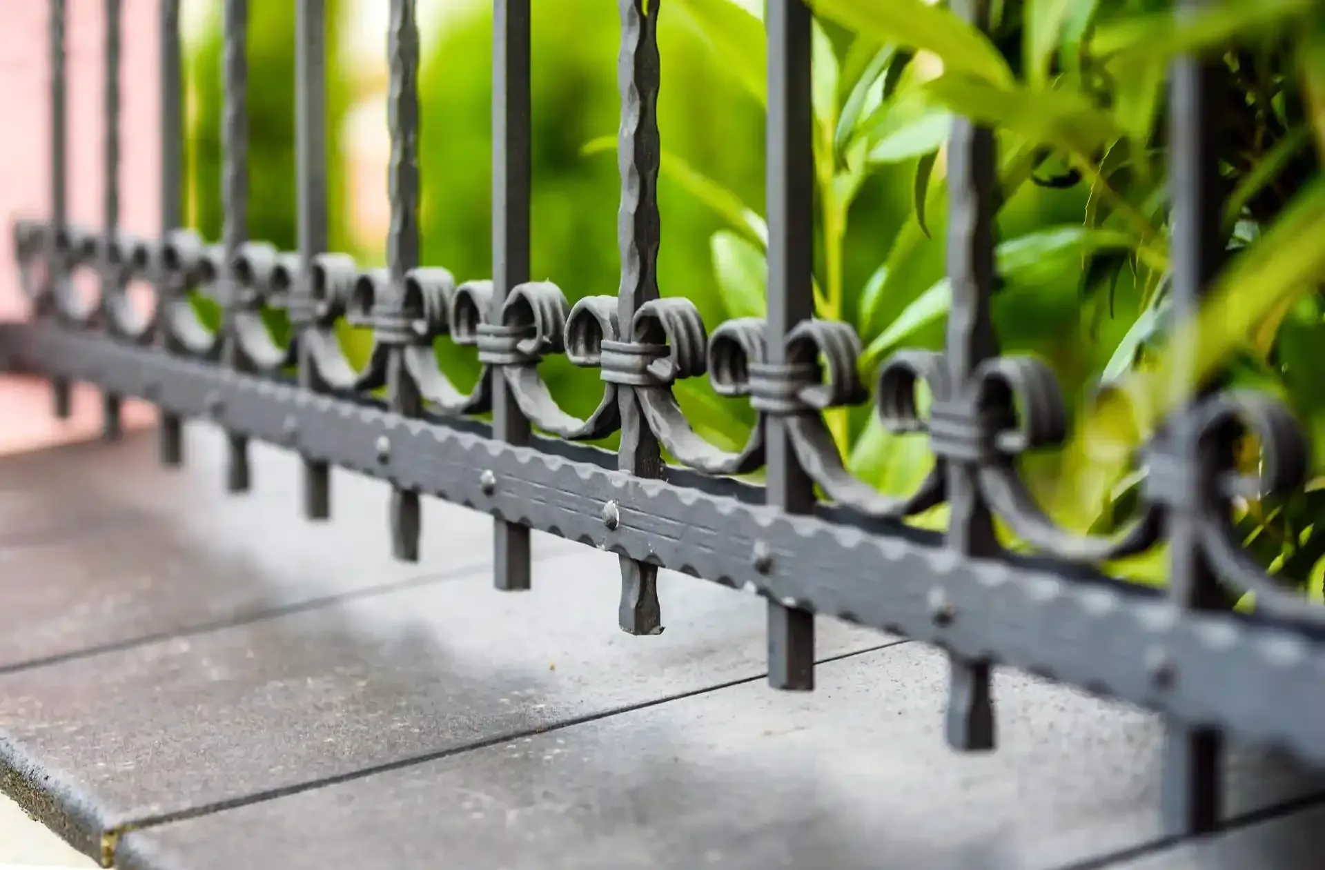 Recinzione in ferro battuto nero con spirali decorative e barre verticali. Dietro, fogliame verde.