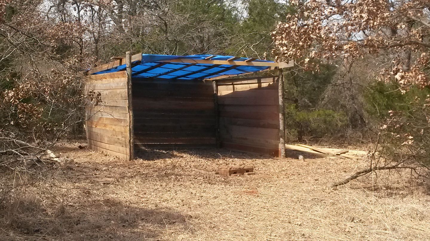 Wooden shelter with blue tarp roof in a wooded area, surrounded by leaves and trees.