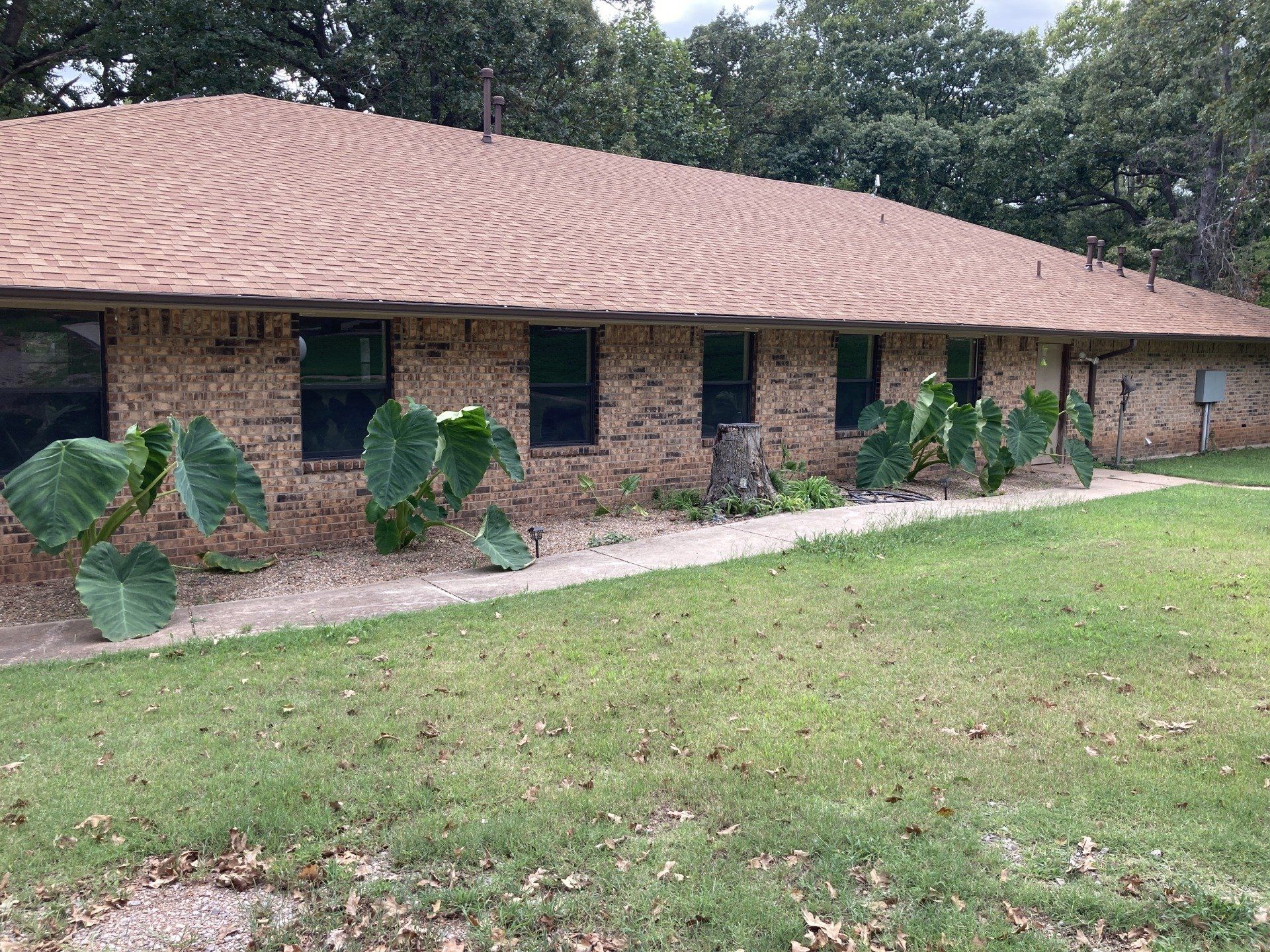 Brick building with brown roof, green grass, and large-leaf plants.