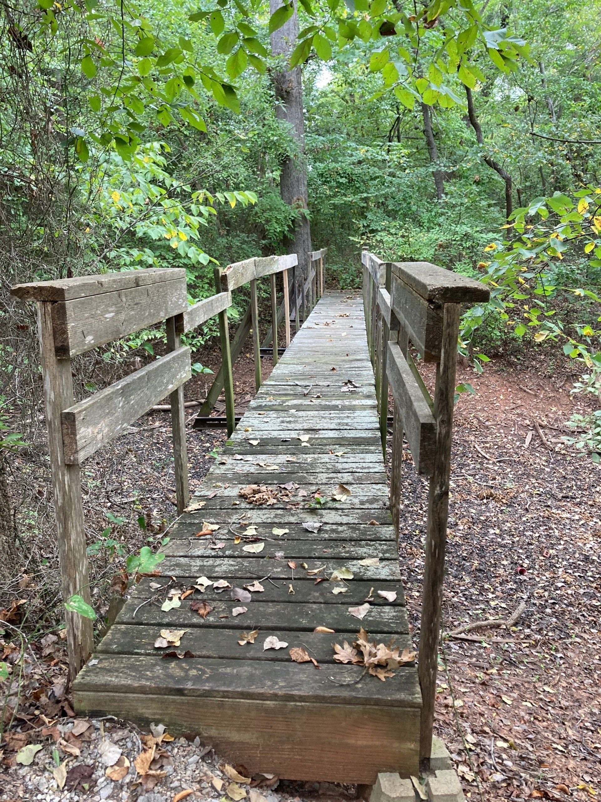 Wooden footbridge in a forest with weathered boards and handrails, covered in fallen leaves.