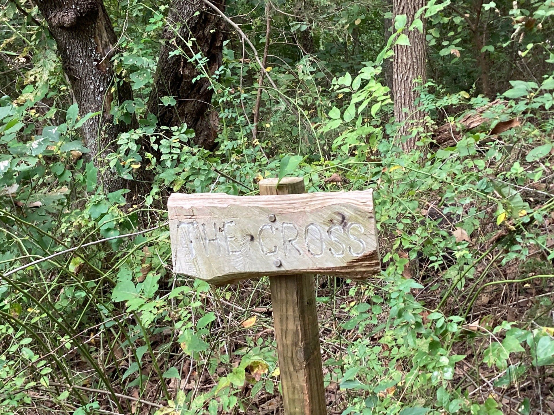 Wooden sign on a post in a forest, text is difficult to read due to weathering.