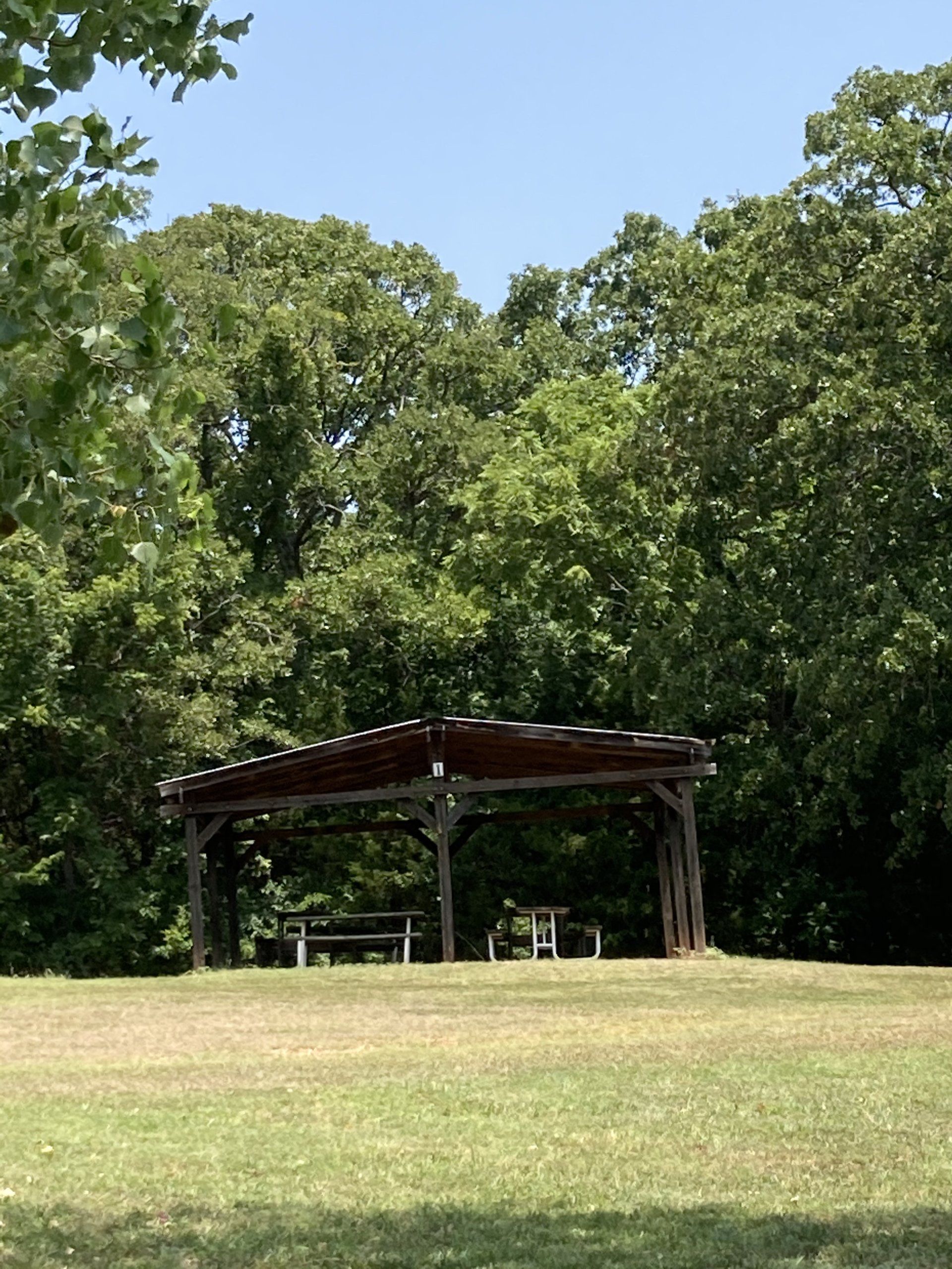 Picnic shelter in a grassy field with trees in the background under a blue sky.