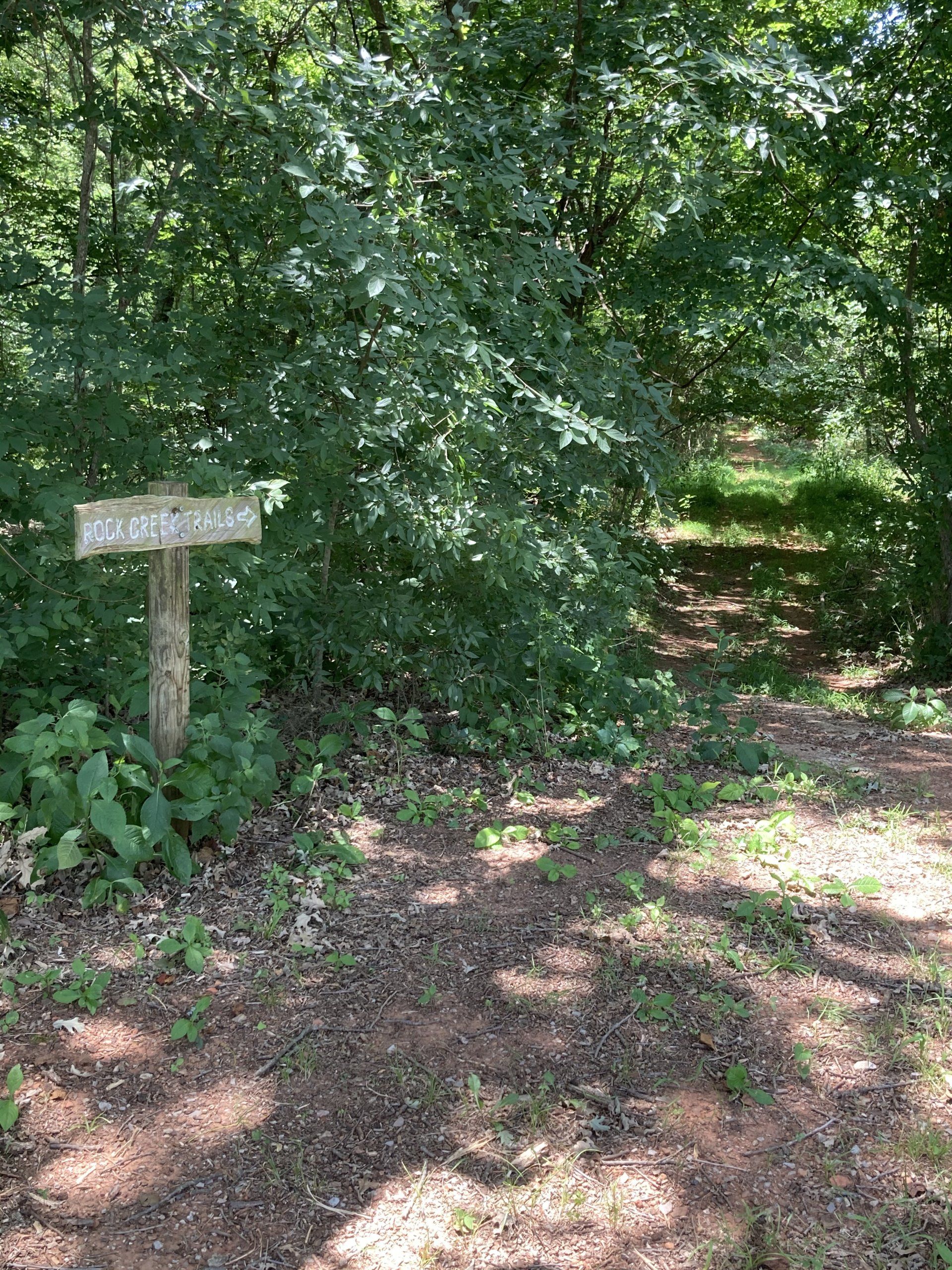 Sign on a wooden post at a forest trail entrance, surrounded by trees and a dirt path.