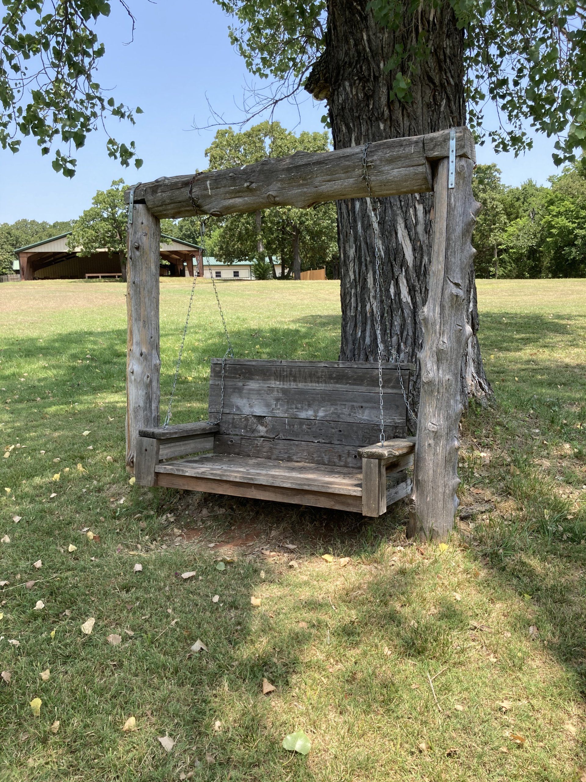 Wooden swing hanging from a tree, in a grassy yard.