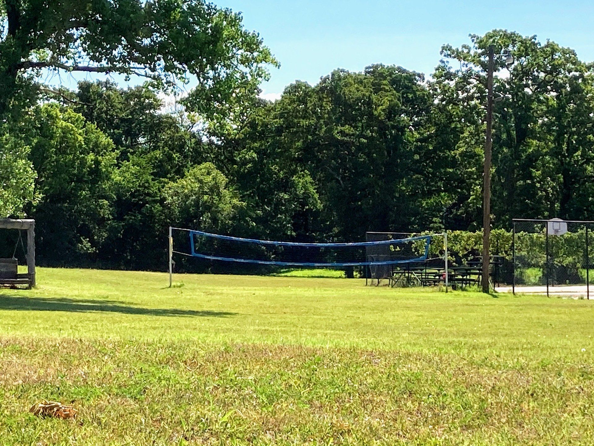 Volleyball net on a grassy field, trees in the background, sunny day.