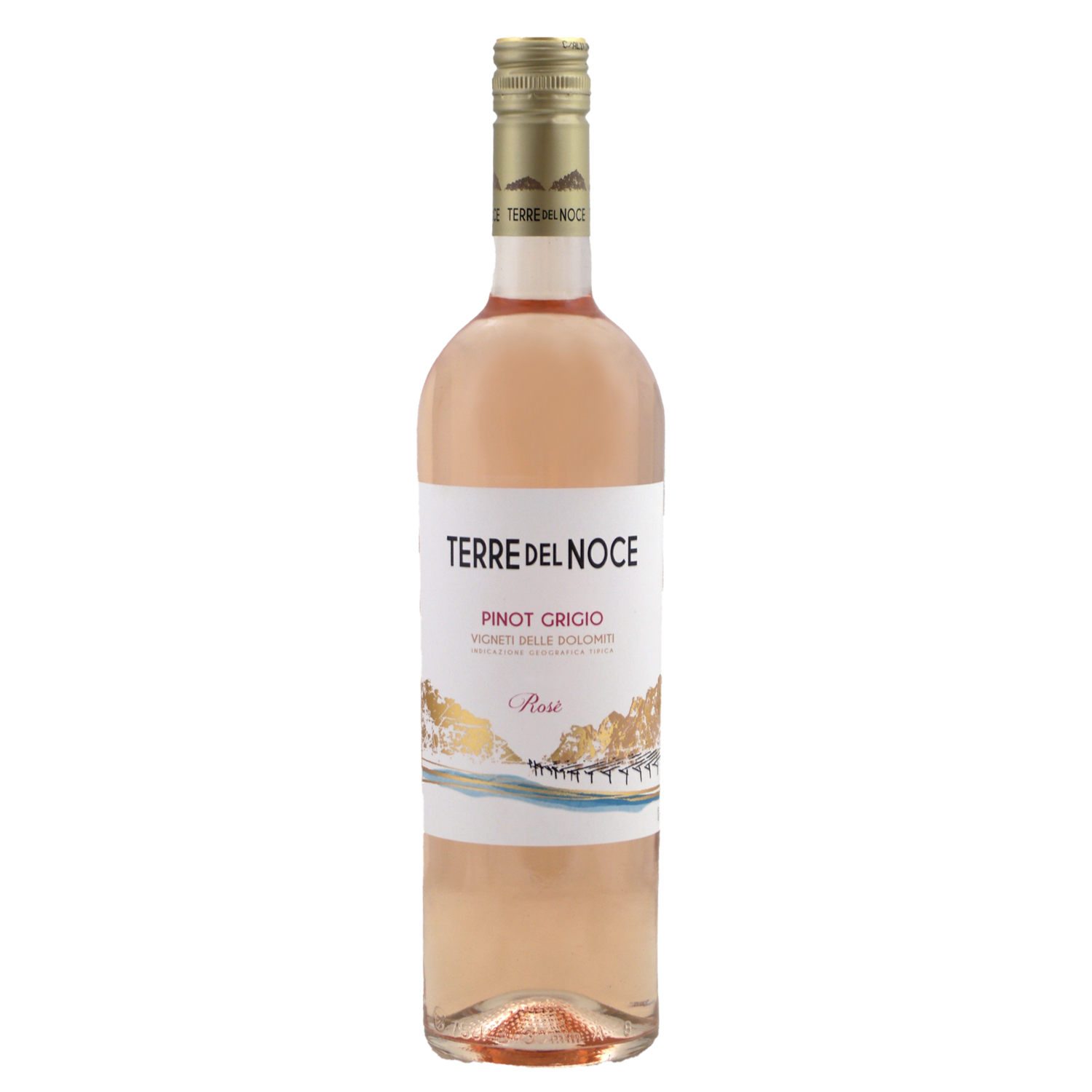 Terre del Noce Pinot Grigio rosé