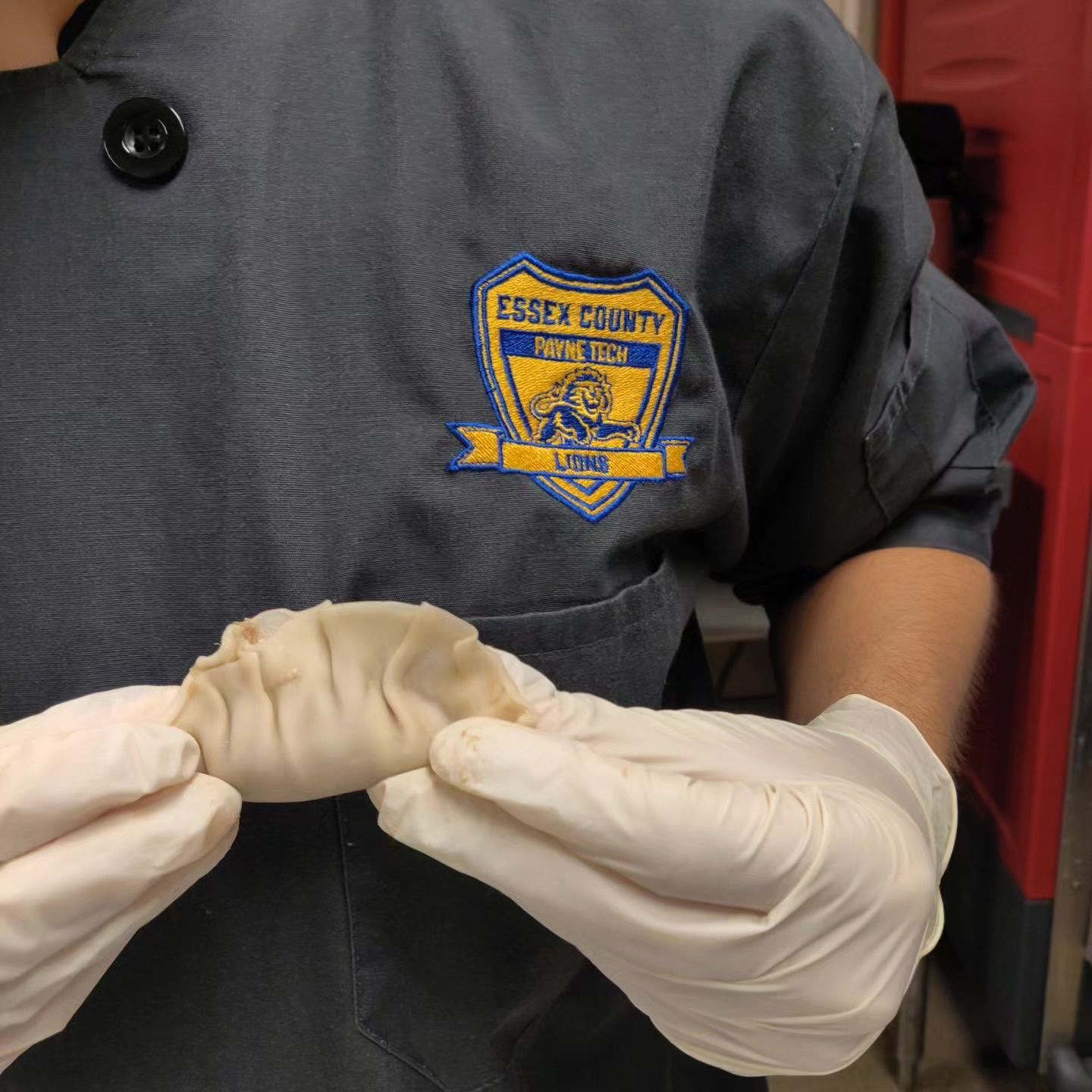 A person wearing gloves is holding a dumpling with a badge that says essex county