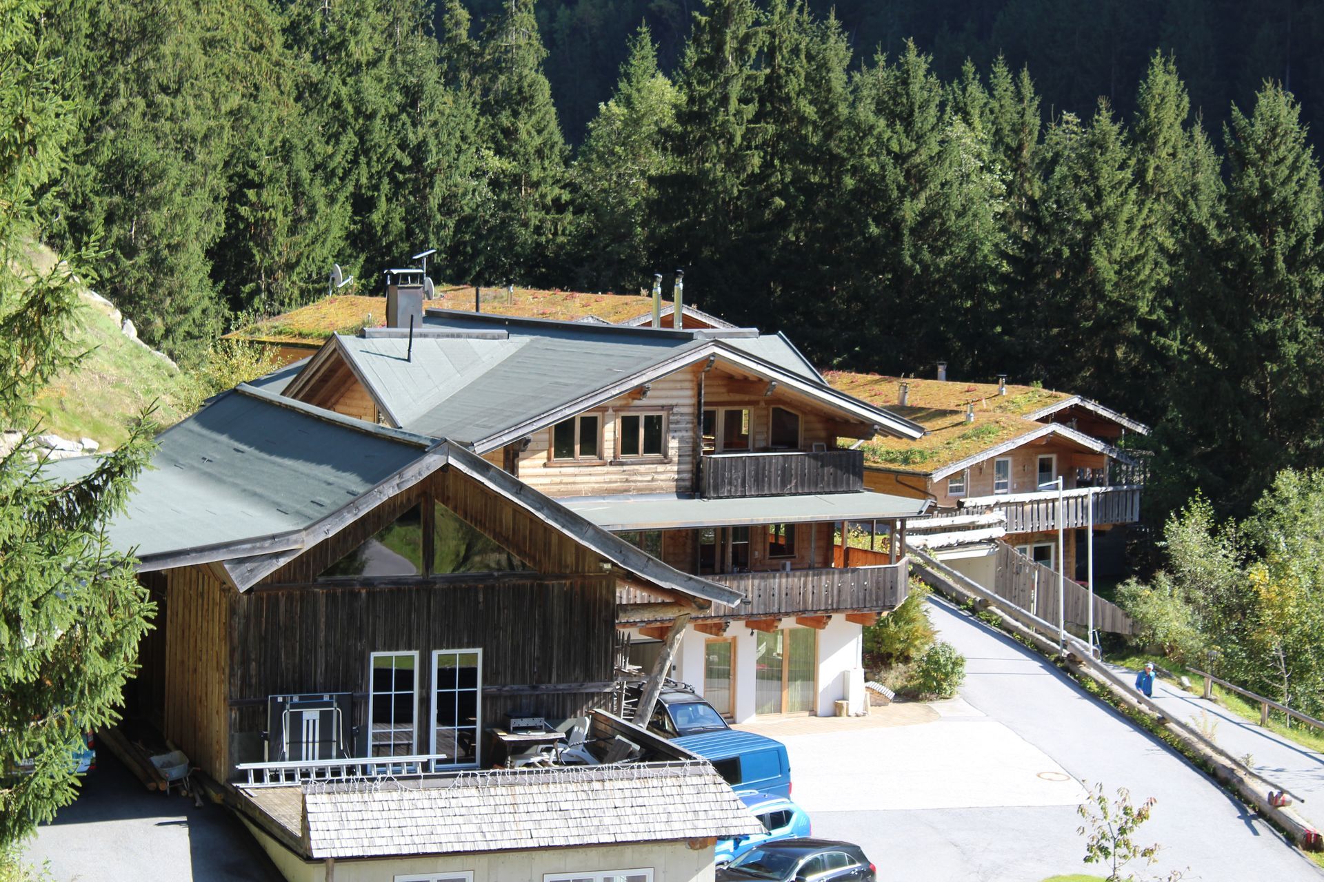 An einem Berghang ragen hölzerne Chalets mit grauen Dächern aus dem dichten, grünen Kiefernwald empor.